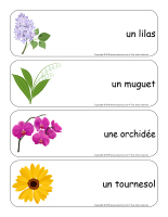 Étiquettes-mots géants-Fleurs-lecture