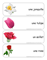 Étiquettes-mots géants-Fleurs lecture