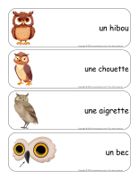 Étiquettes-mots géants-Hiboux-1