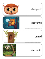 Étiquettes-mots géants-Hiboux-2