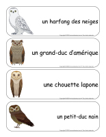 Étiquettes-mots géants-Hiboux-3