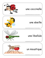 Étiquettes-mots géants-Insectes-2