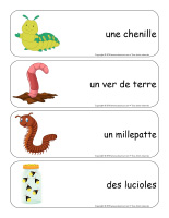 Étiquettes-mots géants-Insectes-3