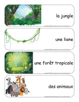 Étiquettes-mots géants-Jungle-1