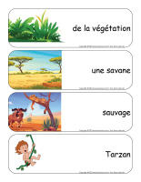 Étiquettes-mots géants-Jungle-2