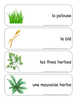 Étiquettes-mots-géants-L'herbe