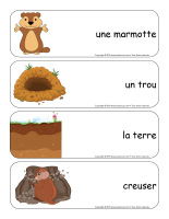 Étiquettes-mots géants-Le jour de la marmotte-1