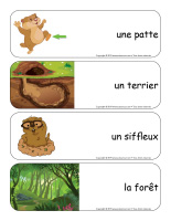 Étiquettes-mots géants-Le jour de la marmotte-3