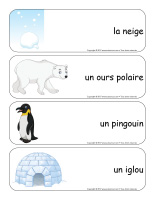 Mots ANIMAUX POLAIRES