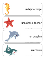 Étiquettes-mots géants-Les animaux marins