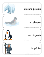 Étiquettes-mots géants-Les animaux polaires Étiquettes-mots géants-Les animaux polaires