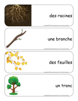 Étiquettes-mots géants-Les arbres-1