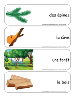 Étiquettes-mots géants-Les arbres-3