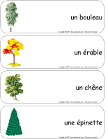 Étiquettes-mots géants-Les arbres