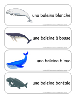 Étiquettes-mots-géants-Les baleines Étiquettes-mots-géants-Les baleines