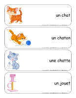 Les Chats Et Les Chatons Activites Pour Enfants Educatout