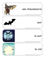 Étiquettes-mots géants-Les chauvesouris-1