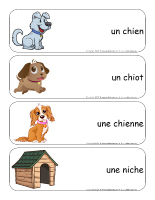 Étiquettes-mots géants-Les chiens Étiquettes-mots géants-Les chiens