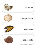 Étiquettes-mots géants-Les coquillages Étiquettes-mots géants-Les coquillages