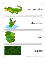 Étiquettes-mots-géants-Les crocodiles