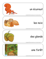 Étiquettes-mots géants-Les écureuils