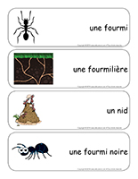 Étiquettes-mots-géants-Les fourmis Étiquettes-mots-géants-Les fourmis