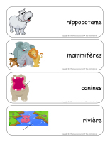 Étiquettes-mots géants-Les hippopotames