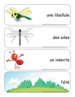 Étiquettes-mots géants-Les libellules-1