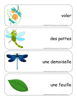 Étiquettes-mots géants-Les libellules-2