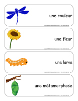 Étiquettes-mots géants-Les libellules-3