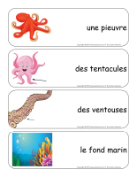 Étiquettes-mots géants-Les pieuvres Étiquettes-mots géants-Les pieuvres