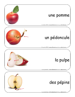 Étiquettes-mots géants-Les pommes