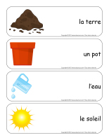 Étiquettes-mots géants-Les semences-1 Étiquettes-mots géants-Les semences-1