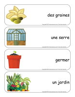 Étiquettes-mots géants-Les semences-2 Étiquettes-mots géants-Les semences-2