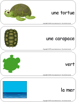 Étiquettes-mots géants-Les tortues Étiquettes-mots géants-Les tortues