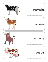 Étiquettes-mots-géants-Les vaches