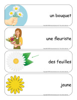 Étiquettes-mots géants-Marguerites 2023-2