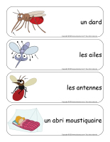 Étiquettes-mots géants-Moustiques-2