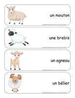 Étiquettes-mots géants-Moutons-1