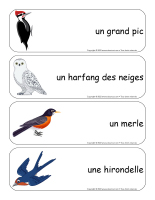 Étiquettes-mots géants-Oiseaux-2