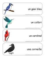 Étiquettes-mots géants-Oiseaux-3