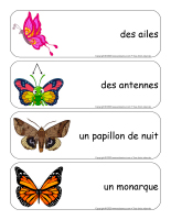 Étiquettes-mots géants-Papillons-1