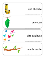 Étiquettes-mots géants-Papillons-2