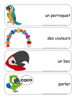 Etiquettes-mots geants-Perroquets-1
