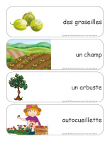 Étiquettes-mots géants-Petits fruits-2