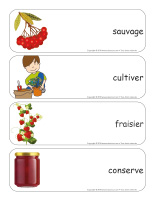 Étiquettes-mots géants-Petits fruits-3