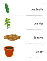 Étiquettes-mots géants-Plantes-1