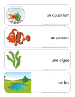 Étiquettes-mots géants-Poissons-1