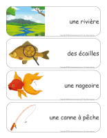 Étiquettes-mots géants-Poissons-2