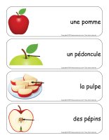 Étiquettes-mots géants-Pommes-1